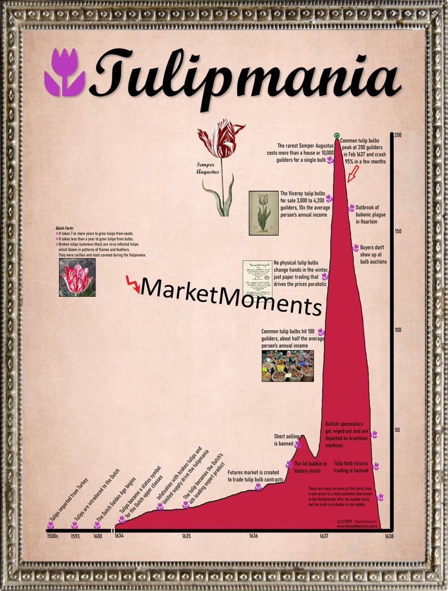 The Rise and Fall of Tulip Mania: the Strangest Crisis!